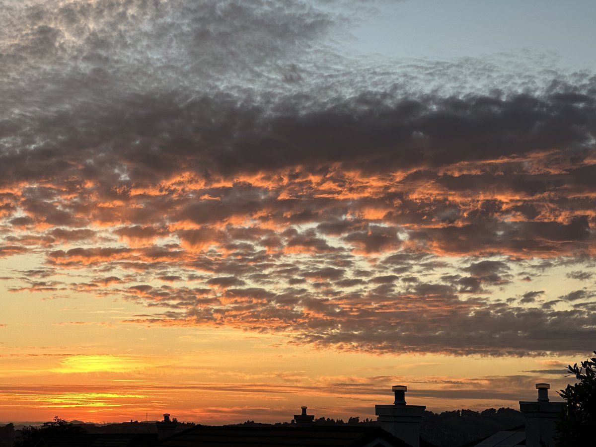 lauurennmacd's tweet photo. short but beautiful #affm day 14 sunset walk ✨☺️🌞 https://t.co/LlofVhOKpG