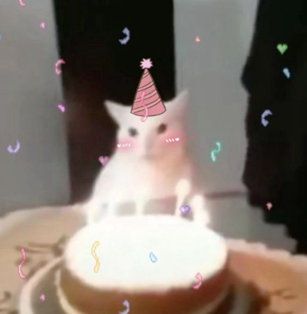 oliv ✧₊∘ . tweet media