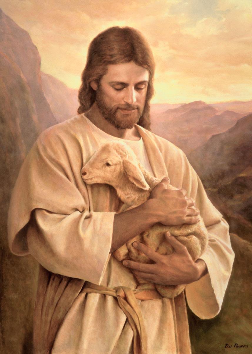 amber ♡ tweet media