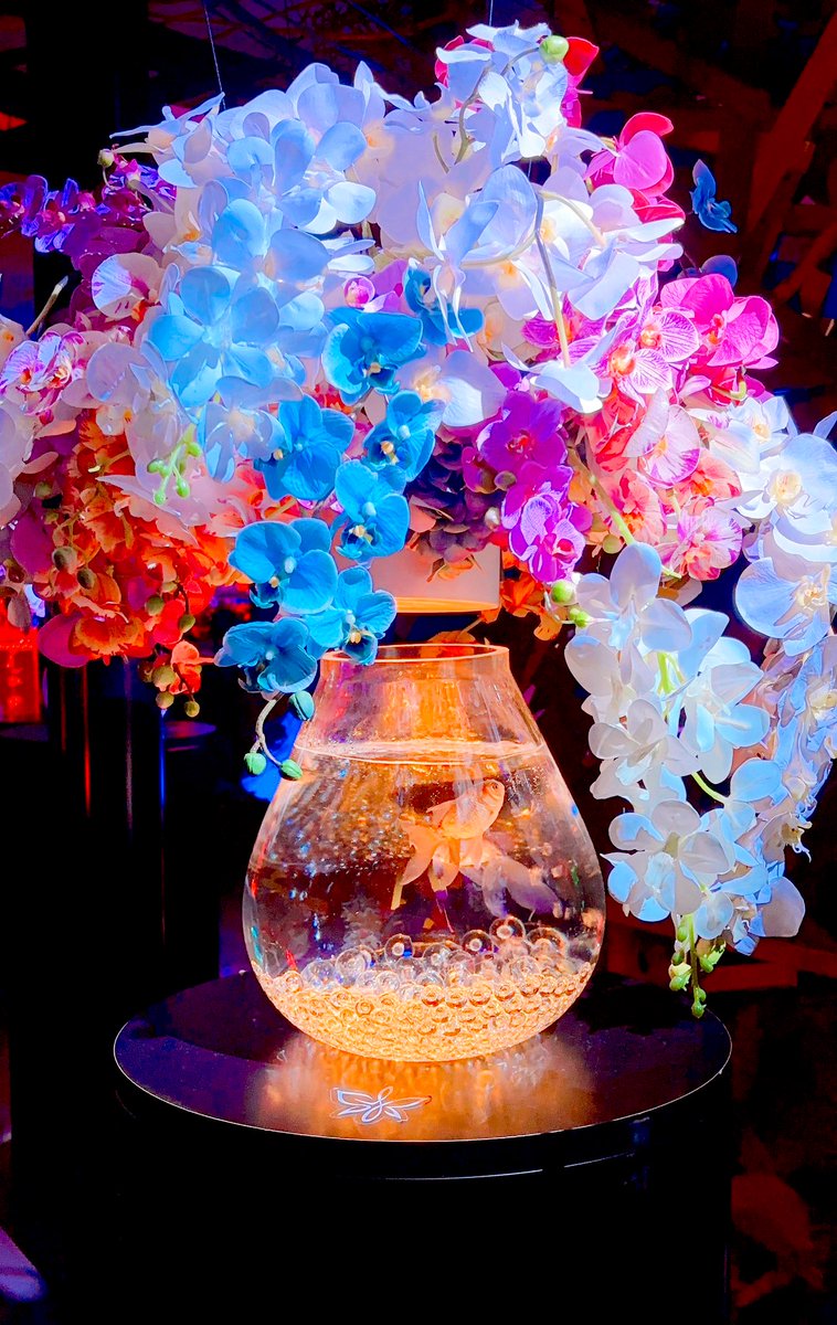 あお海苔 tweet media