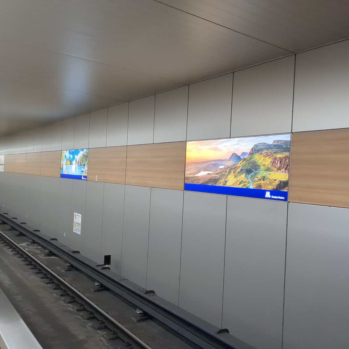 電車の顔 tweet media