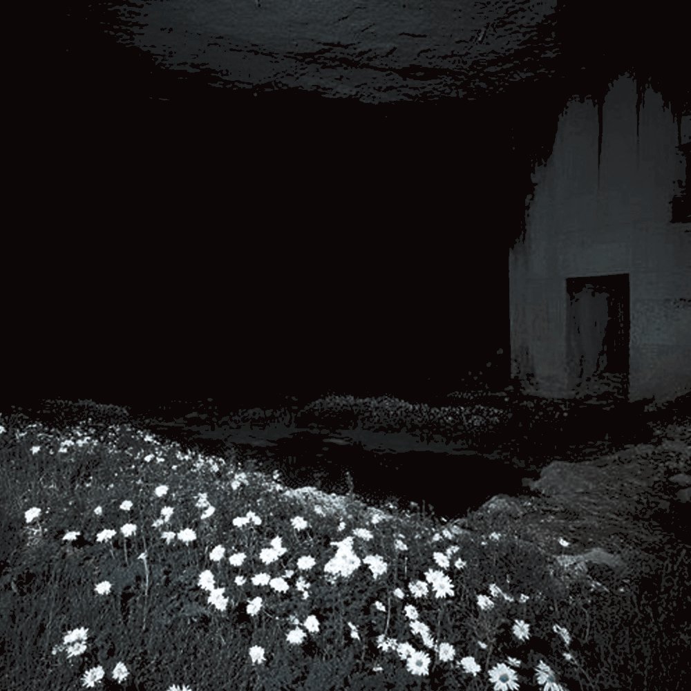 ᅠᅠᅠ⟡﹒┈ 𝓏𝗁𝖾𝗇𝗒𝖺. tweet media