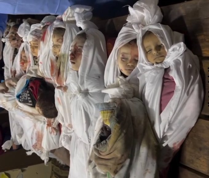 dursun mutlu tweet media