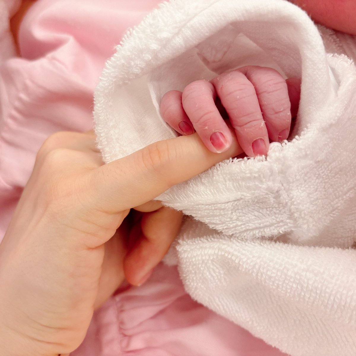 高宗 歩未 tweet media