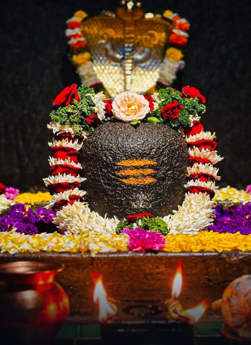 Mishhteeeee tweet media