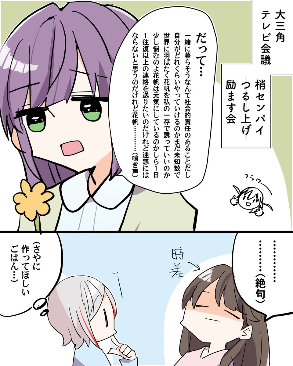 大三角テレビ会議 