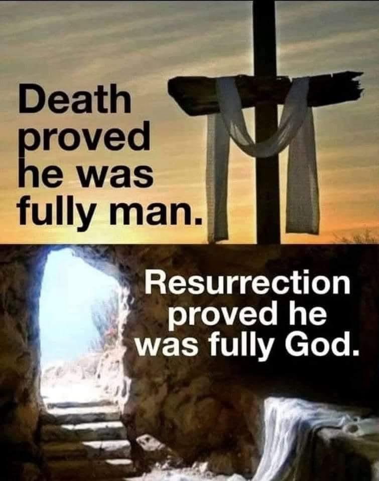 🇺🇸🚨Spencer🚨🇺🇸 tweet media