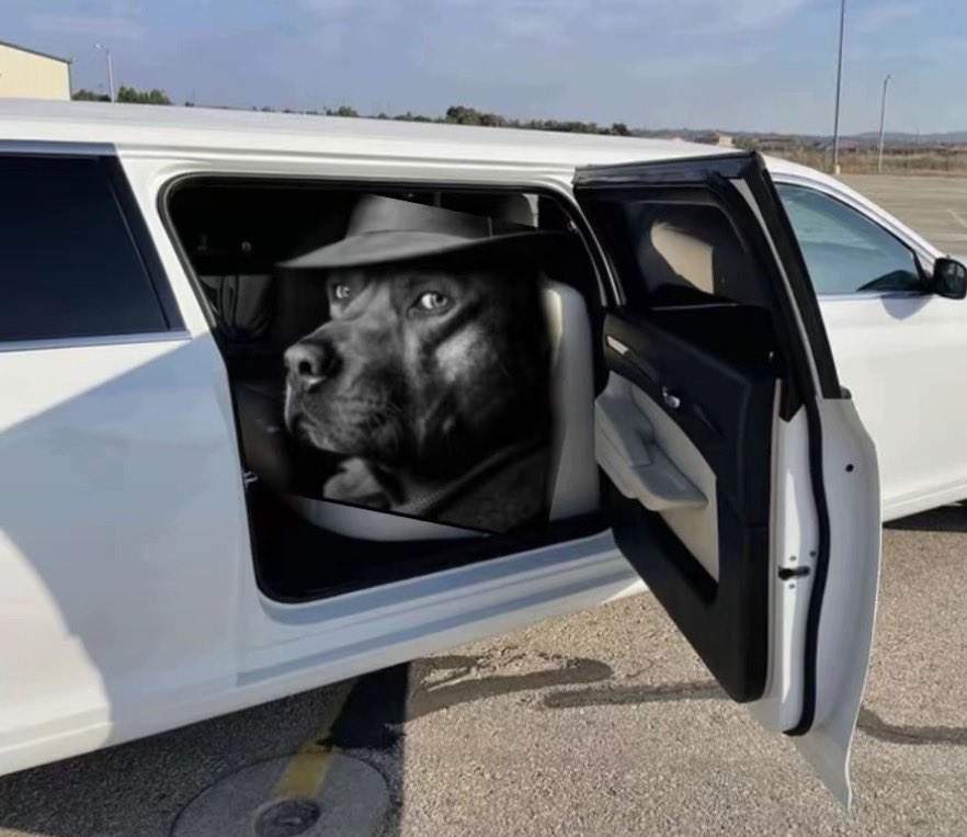 𝘯𝘢𝘯𝘢 tweet media