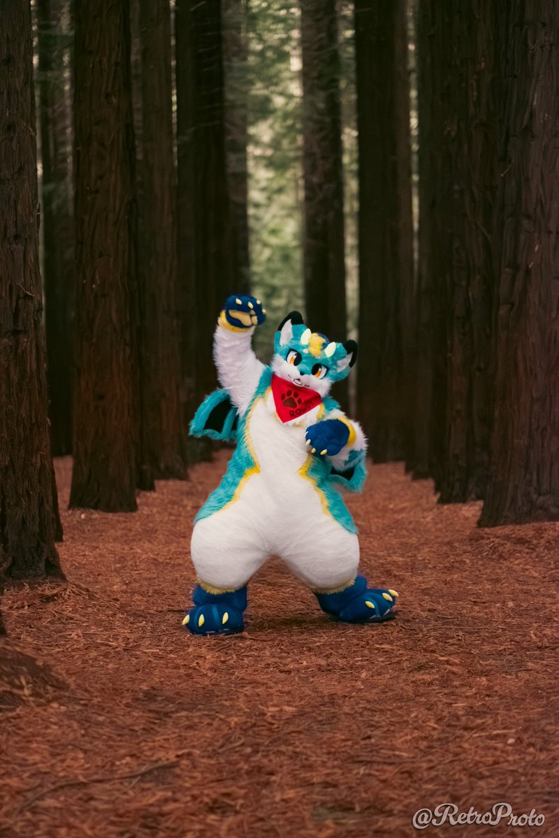 ドラスキ tweet media