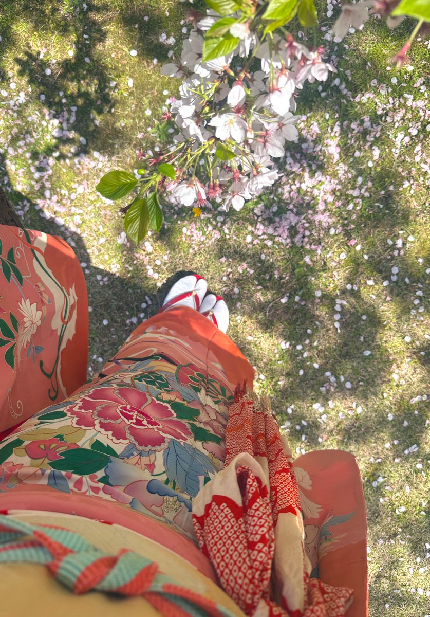 kimono_ruu's tweet photo. 満開の桜🌸可愛い振袖🌸幸せー_(:3」z)_💕
#アンティーク着物
#振袖 https://t.co/H788o6hEOr