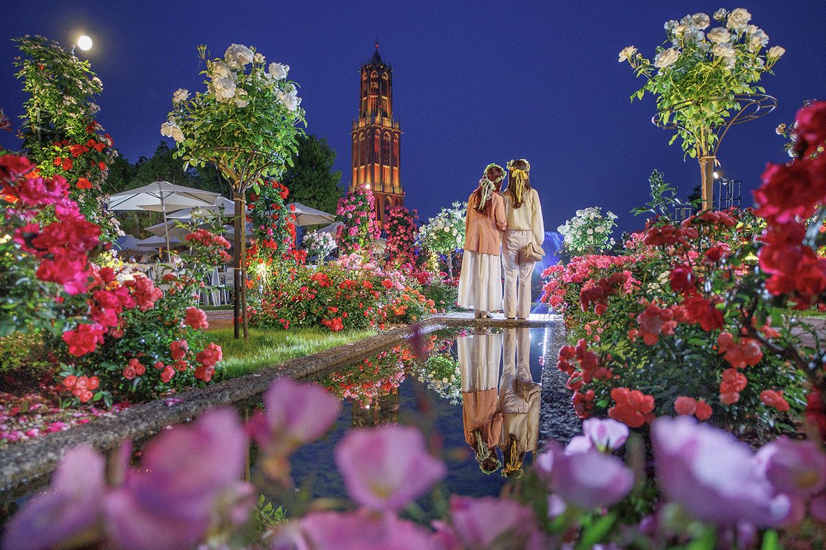 ハウステンボス公式 tweet media