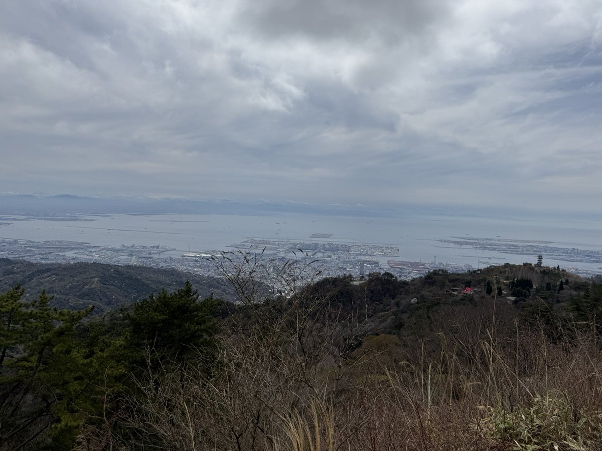 すしさん 🦙₎₎ tweet media