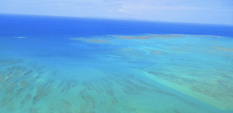 沖縄県 tweet media