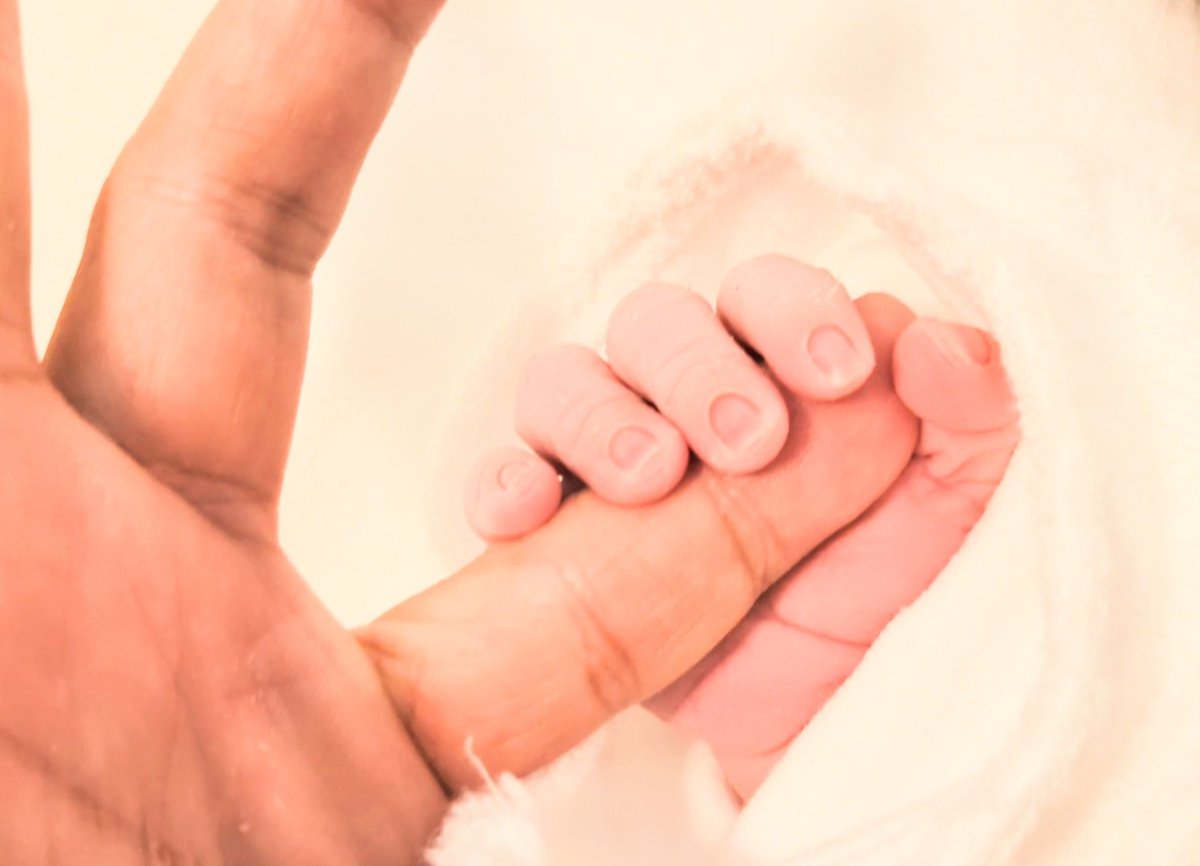 笠原 紳司 tweet media