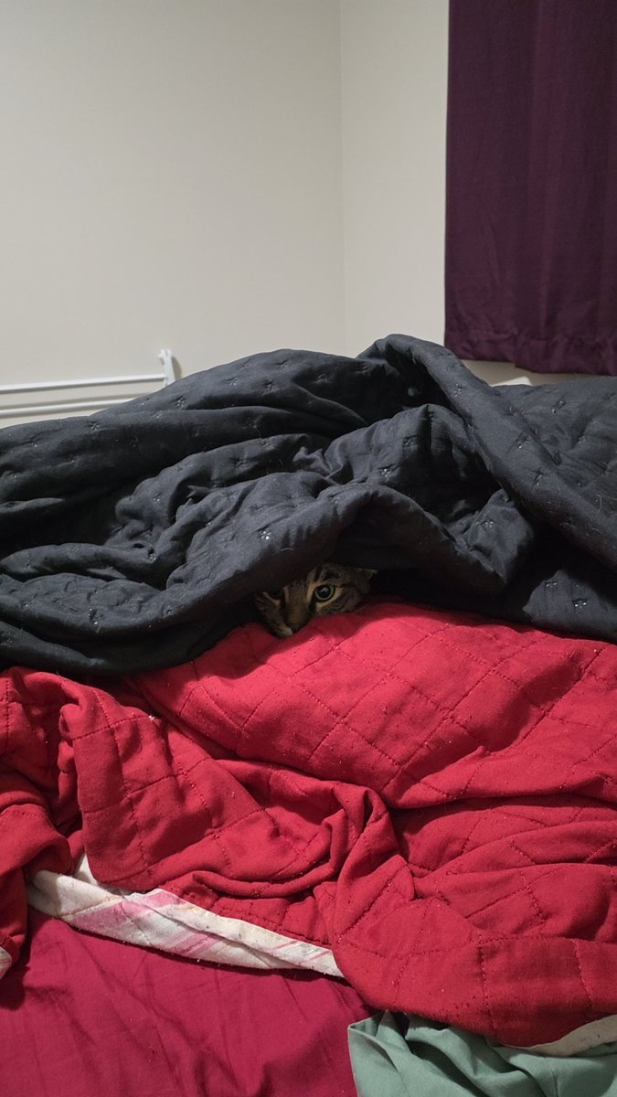 winter, workplace anxiety arc 😬 tweet media