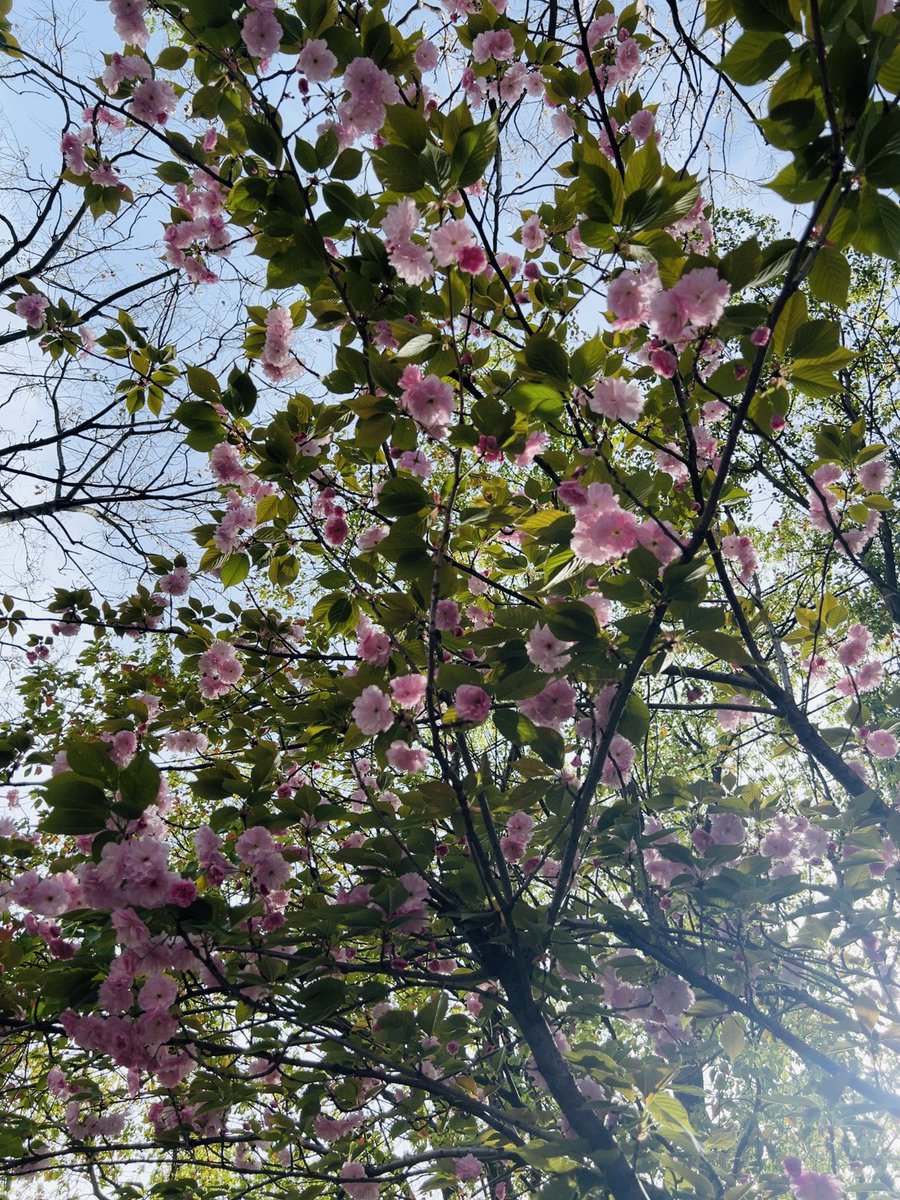 尧勒祁 tweet media