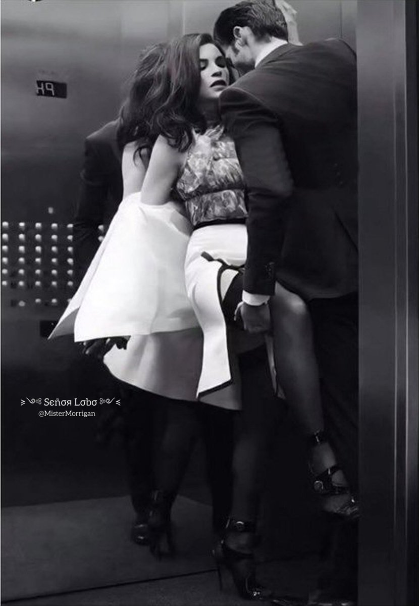 ≽༺ Sєñσя Lσbσ ༻≼ tweet media