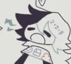 zip 🏴‍☠️🐉 tweet media