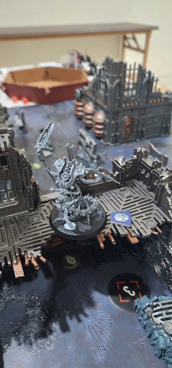 Wolfe K.Shephard tweet media