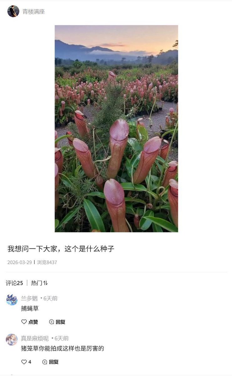 45.206 MHᴢ 🇳🇿 tweet media