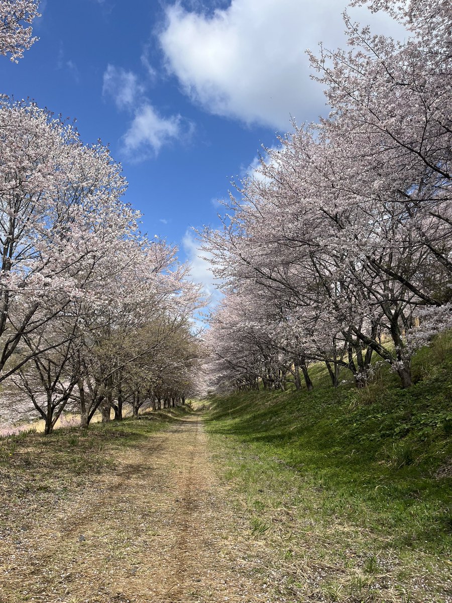 東秩父村【埼玉県唯一の村】公式 (@h_village_634) / Posts / X