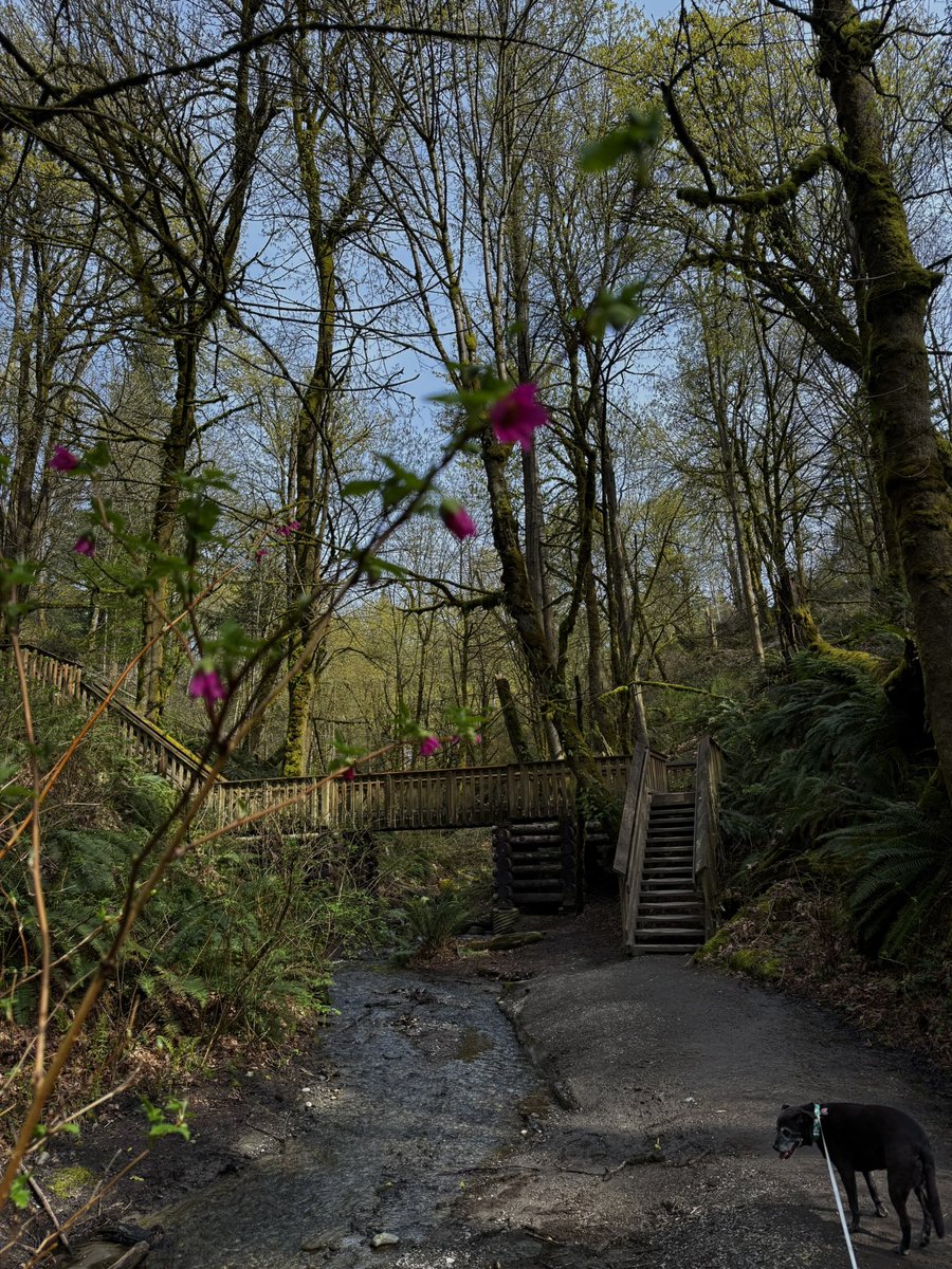 Kimberly tweet media