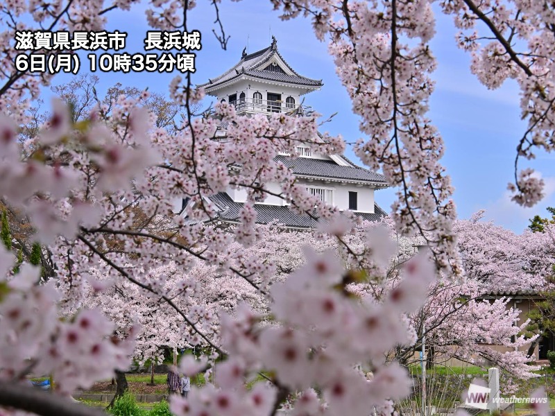 ウェザーニュース tweet media