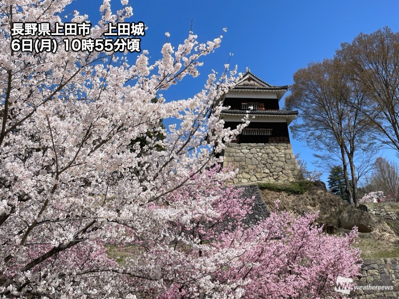 ウェザーニュース tweet media