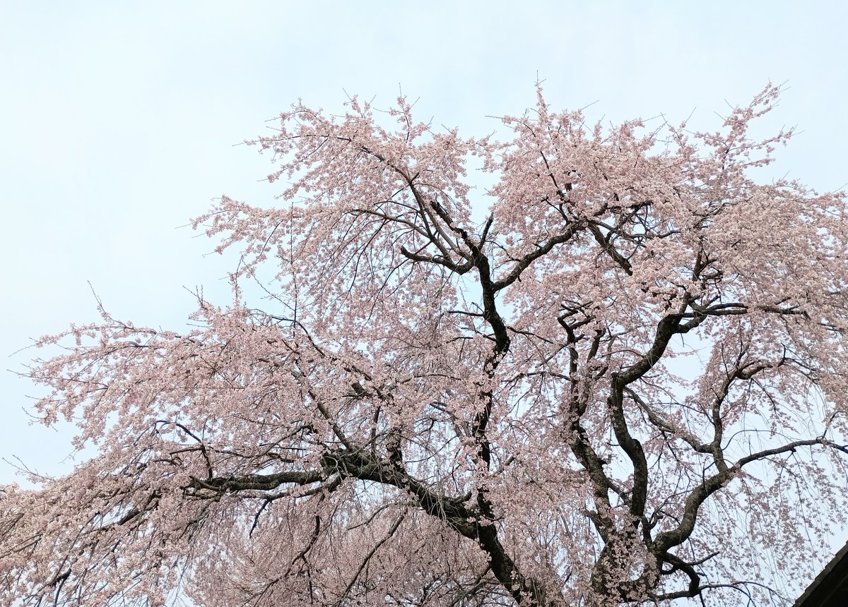 るびぃ💙 tweet media