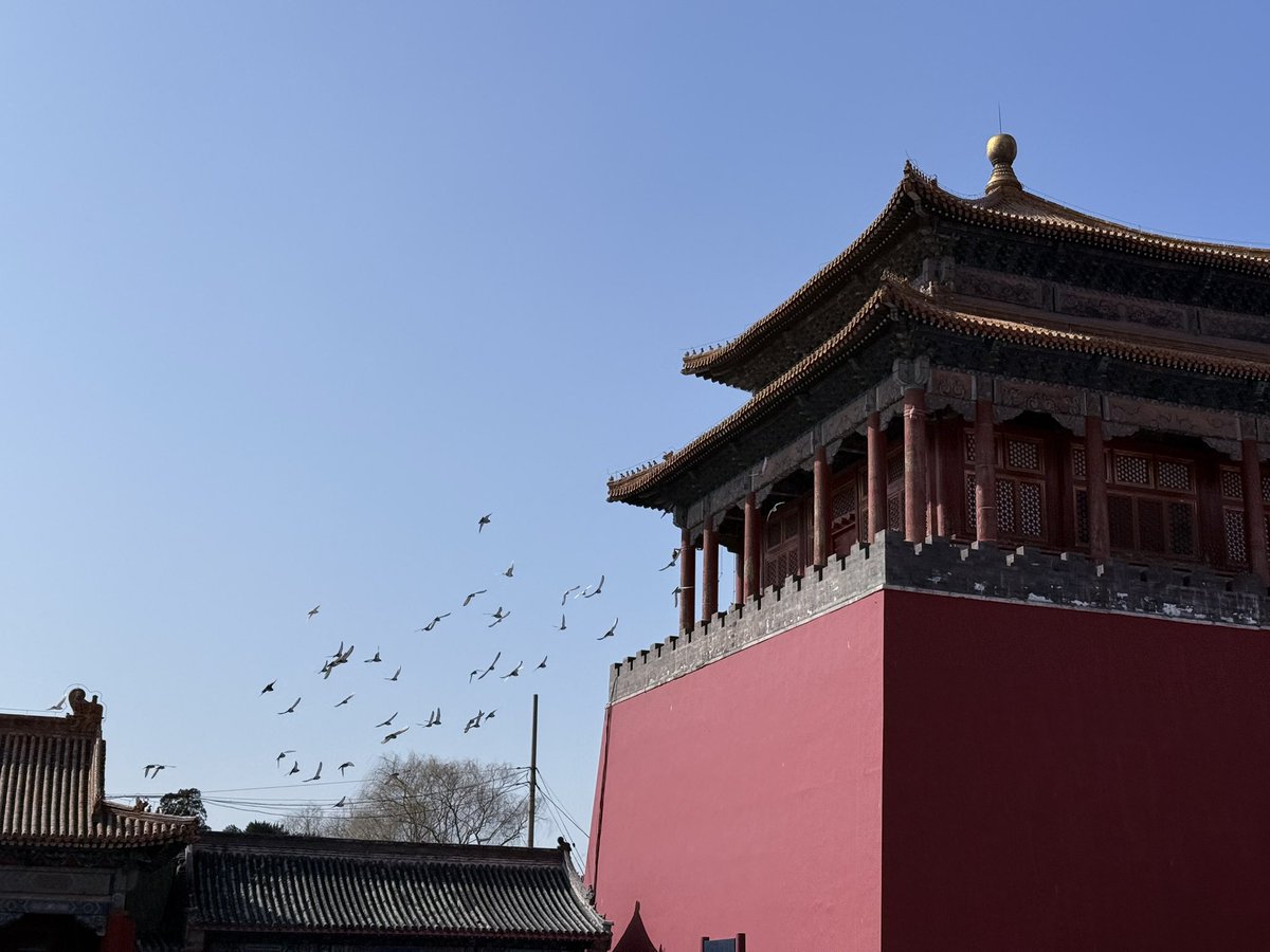 李狗蛋3.0 🔶 tweet media