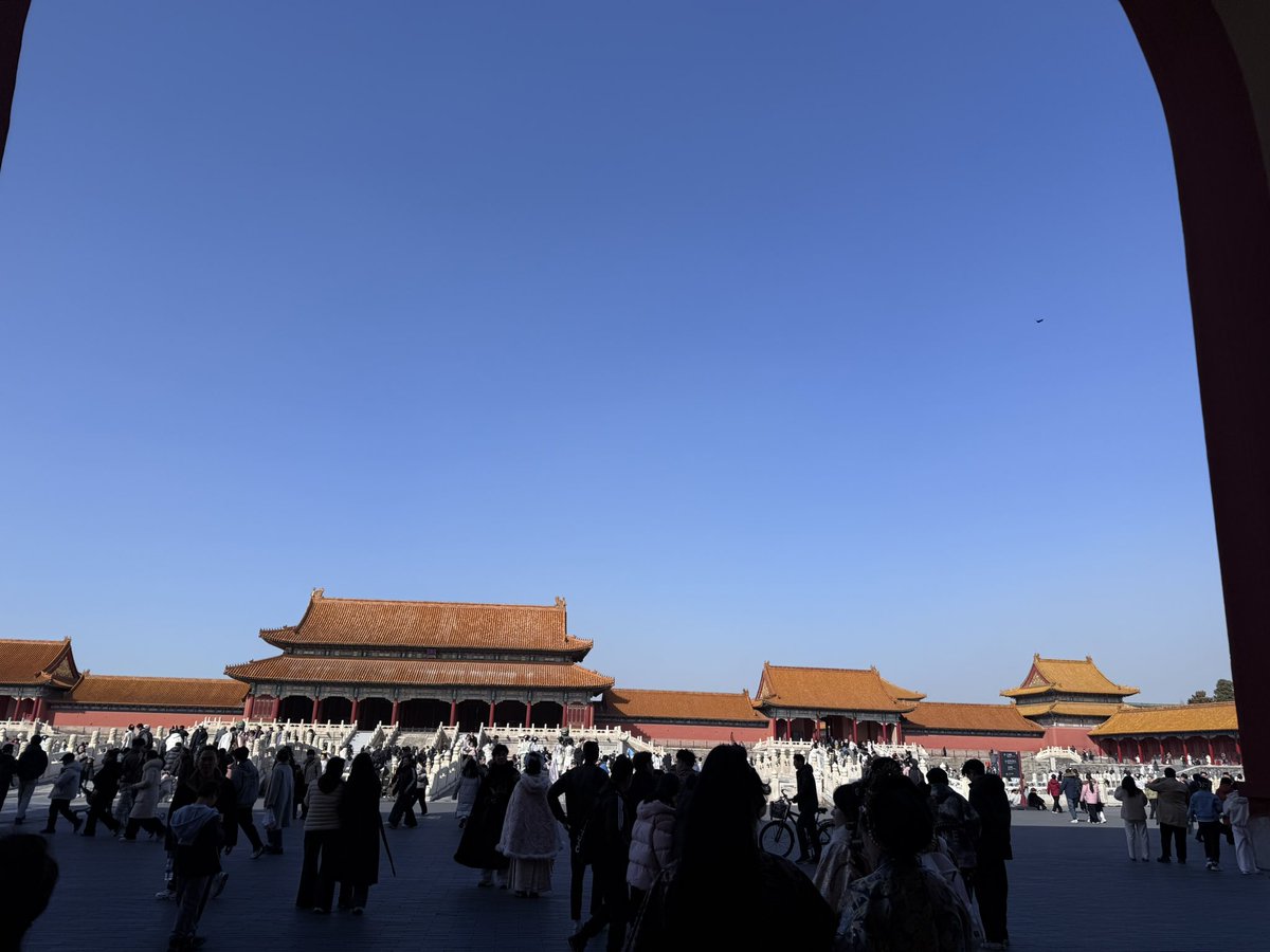 李狗蛋3.0 🔶 tweet media