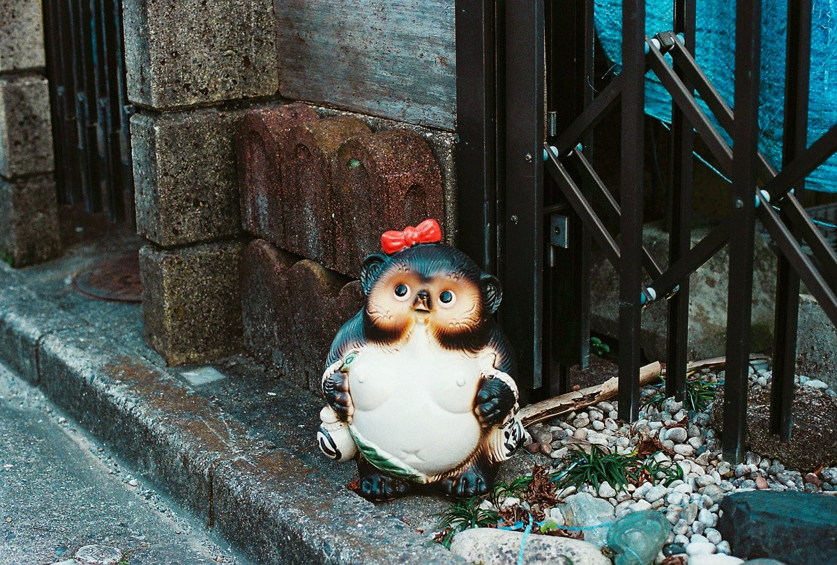 moze (@neomoze) on Twitter photo 