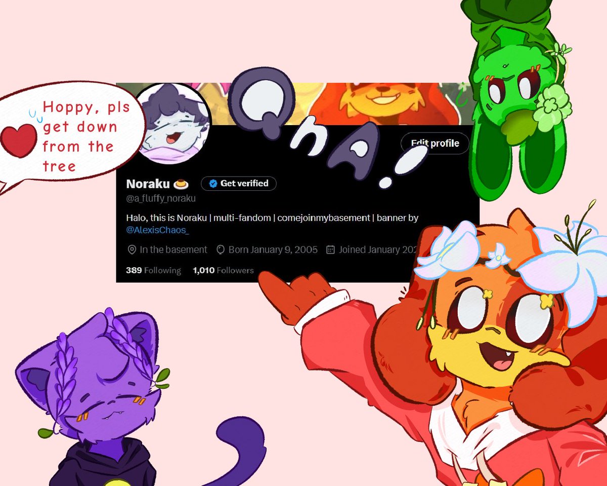 Noraku 🍮 tweet media