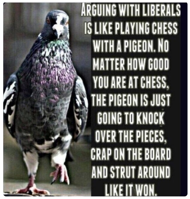 bigwoods🇺🇸 tweet media