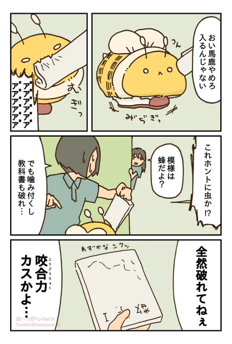 (2/6) 