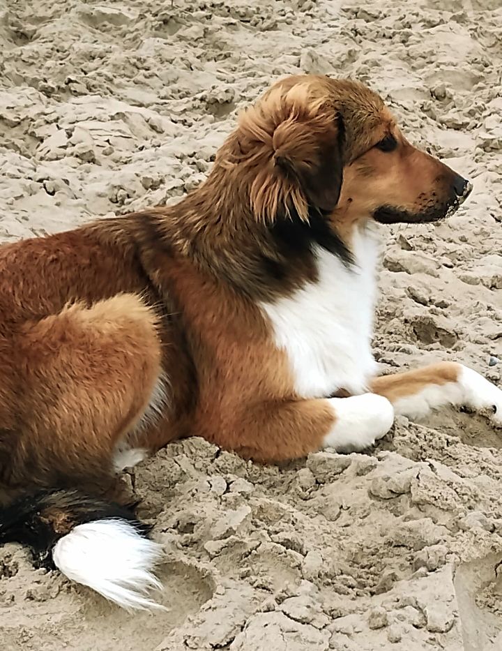 El Fach🅾️ Facher🅾️ tweet media