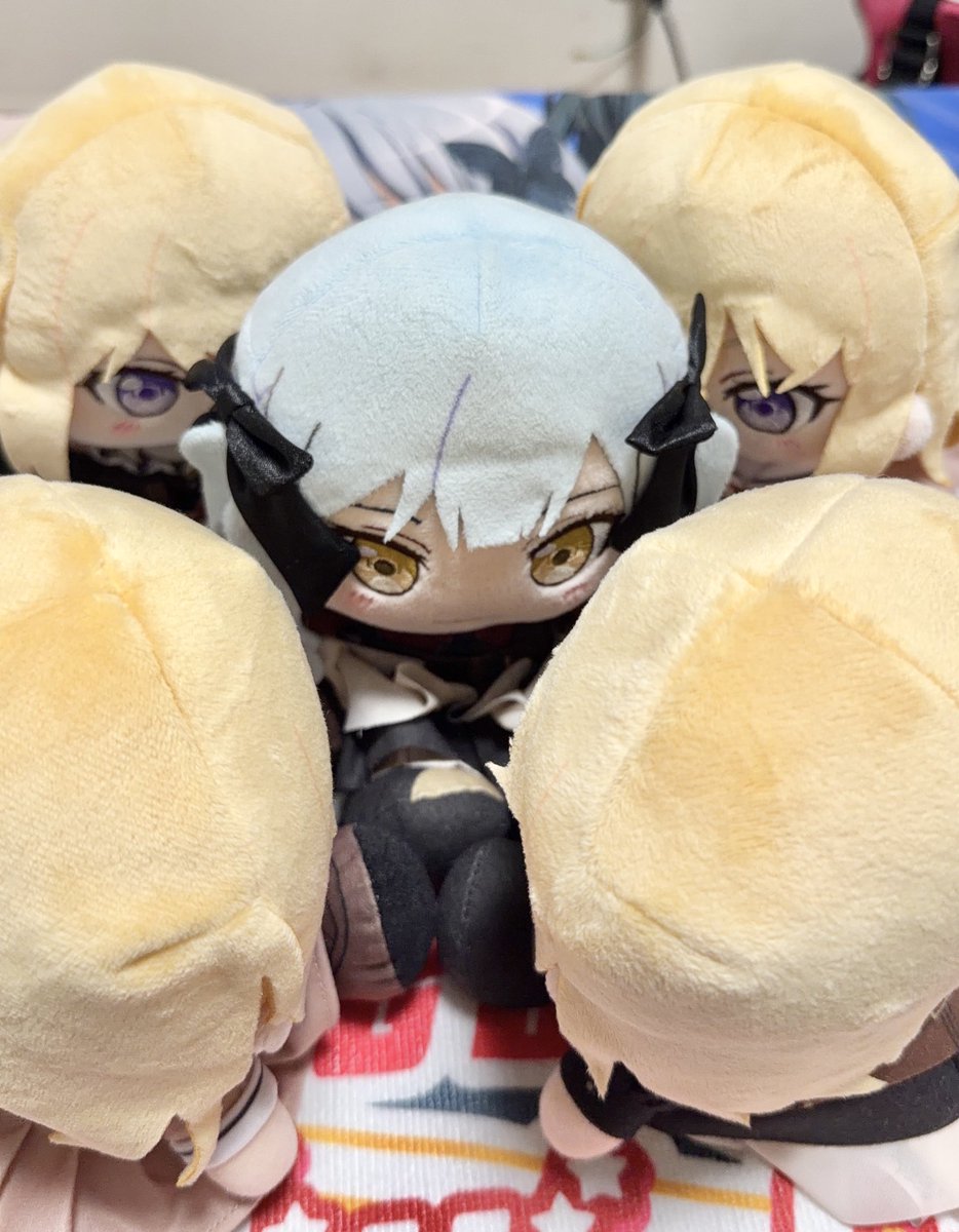 ふくにぃ💭 tweet media