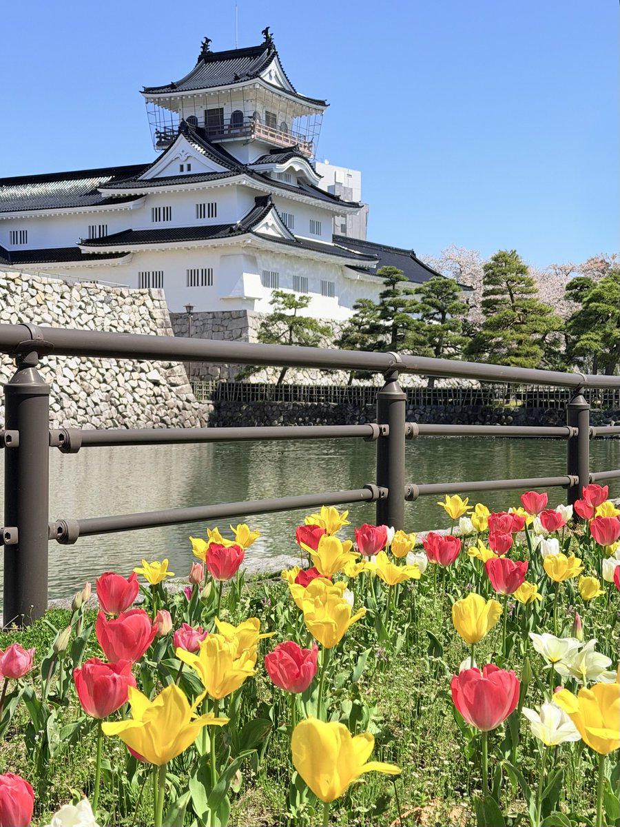 富山市観光協会 tweet media