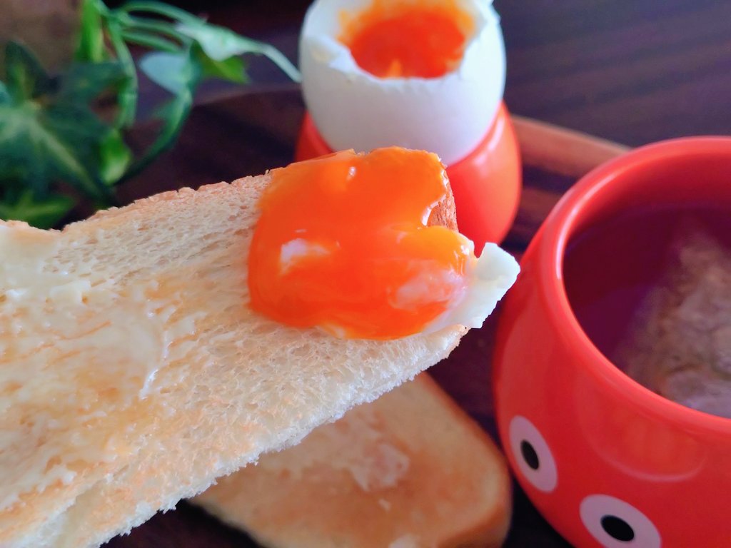 ゆみた tweet media