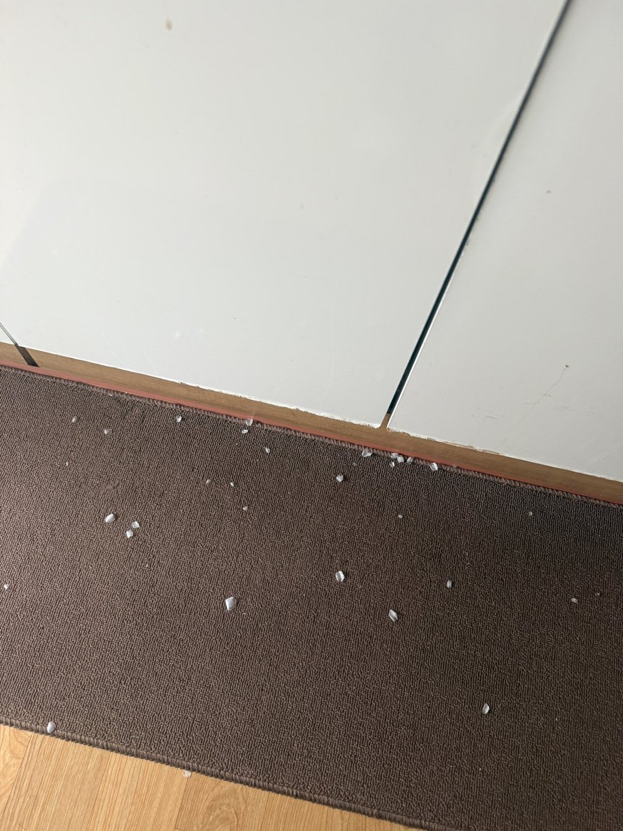 김데레 tweet media