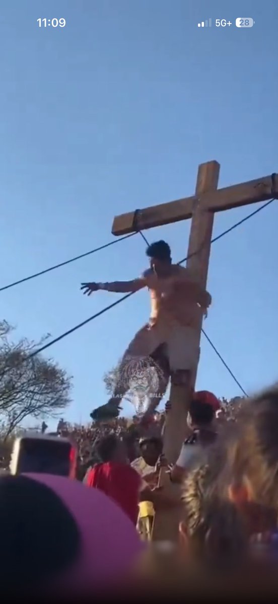 Jade.🧙🏼‍♂️ tweet media