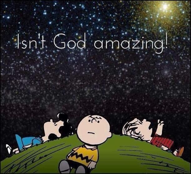 whokilledsethrich tweet media