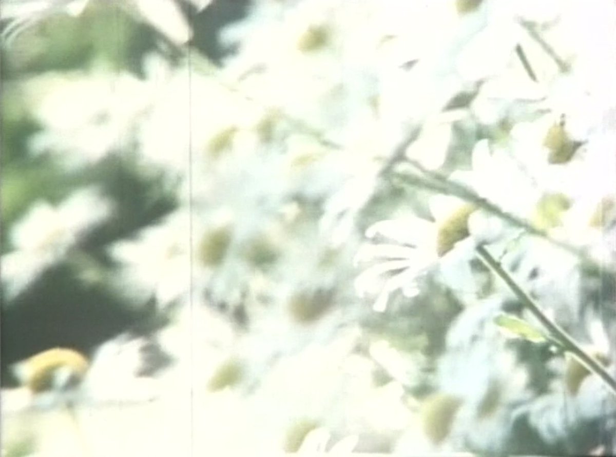 sᴇɴᴛɪᴍᴇɴᴛᴀʟ ɢɪʀʟ ᴠɪᴏʟᴇɴᴛ ᴊᴏᴋᴇ tweet media