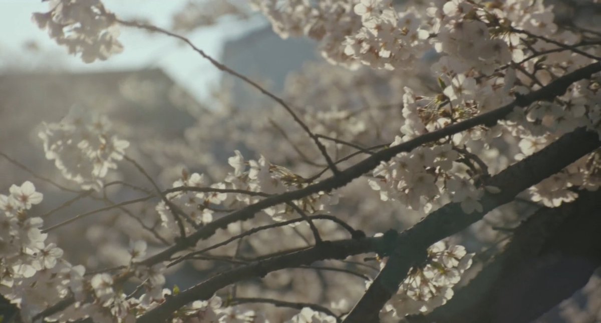 sᴇɴᴛɪᴍᴇɴᴛᴀʟ ɢɪʀʟ ᴠɪᴏʟᴇɴᴛ ᴊᴏᴋᴇ tweet media