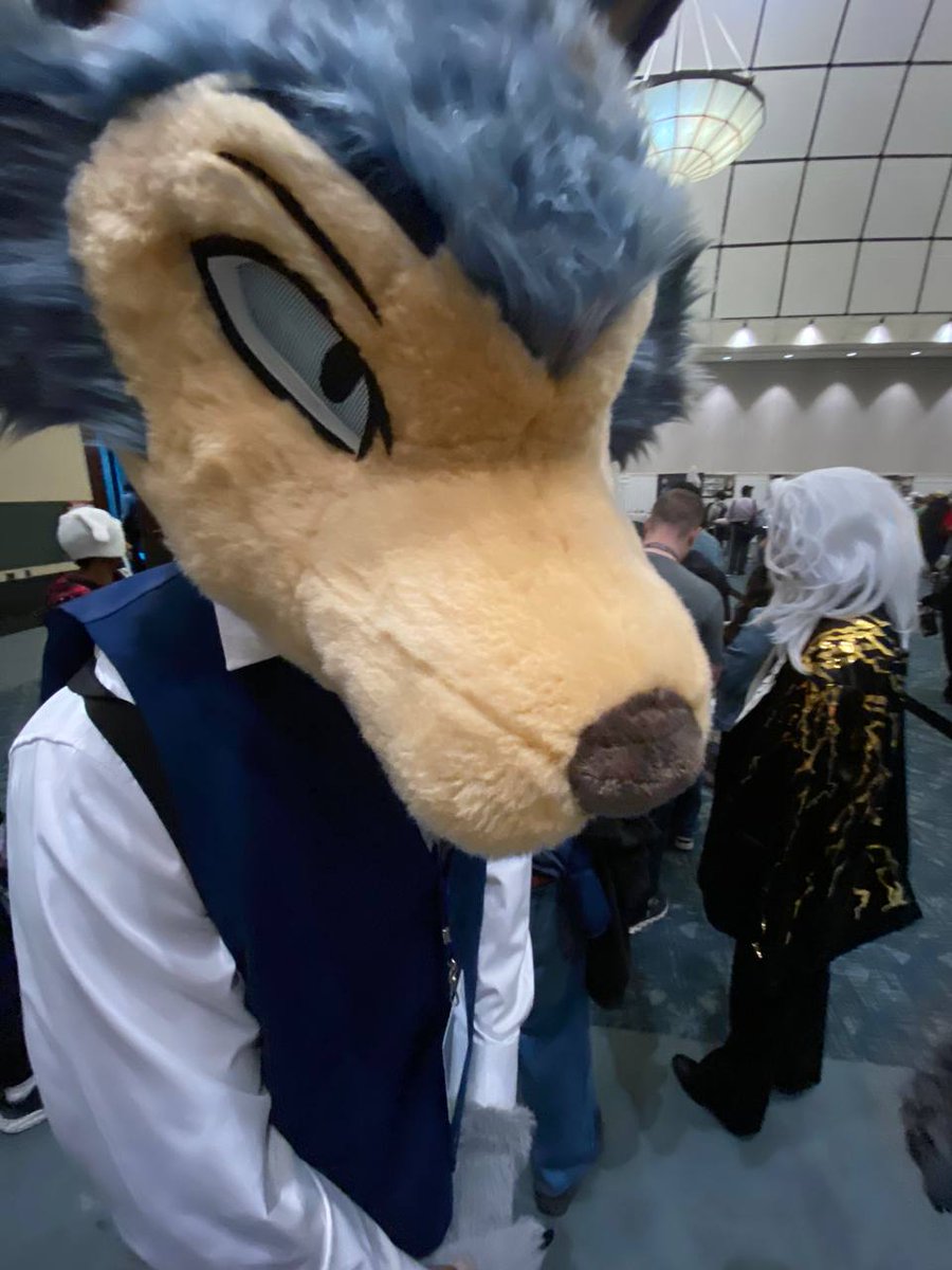 _DaGoshi_🔜Furg/AC tweet media