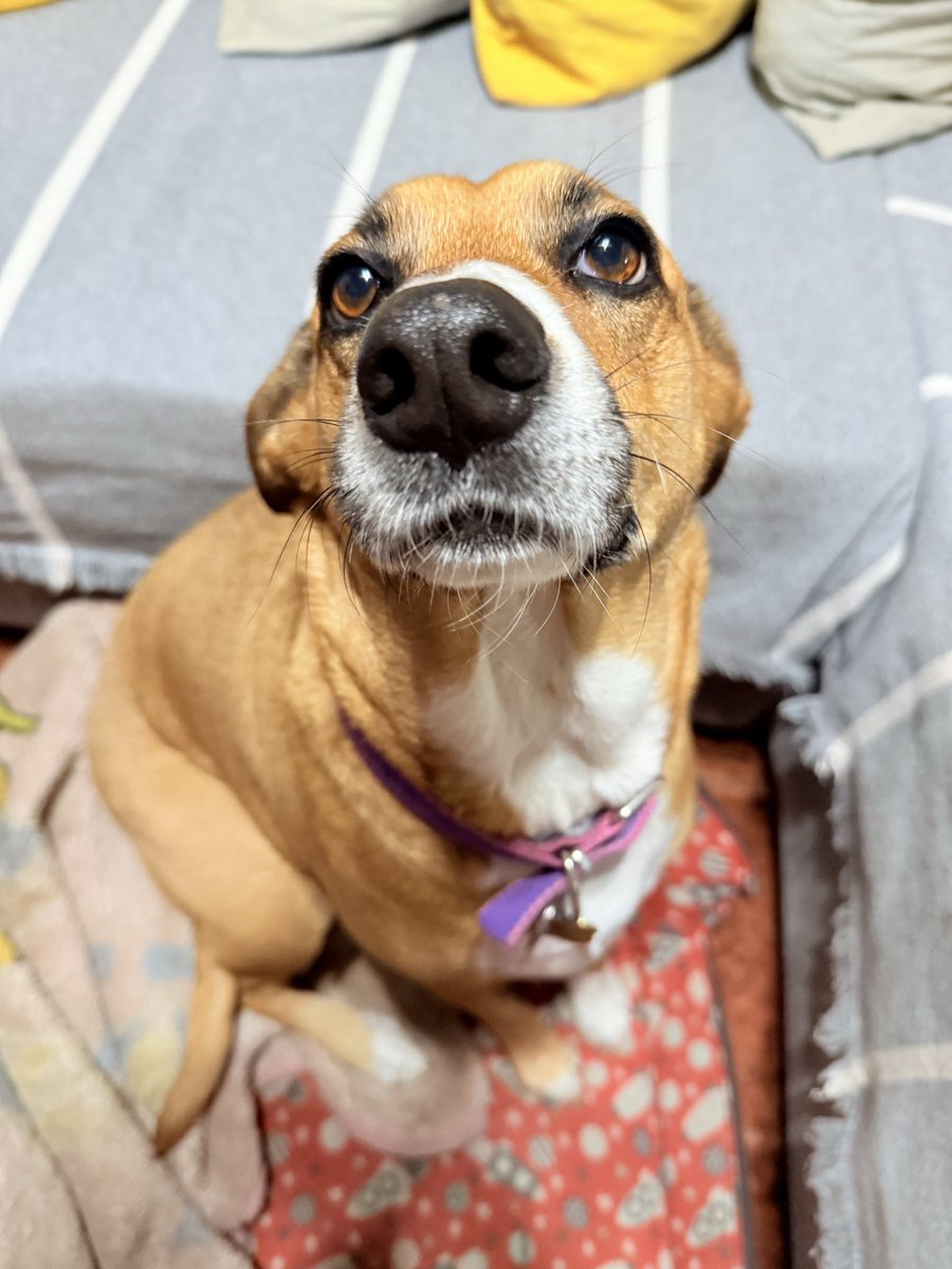 mily TURR4ZO 24.4 tweet media