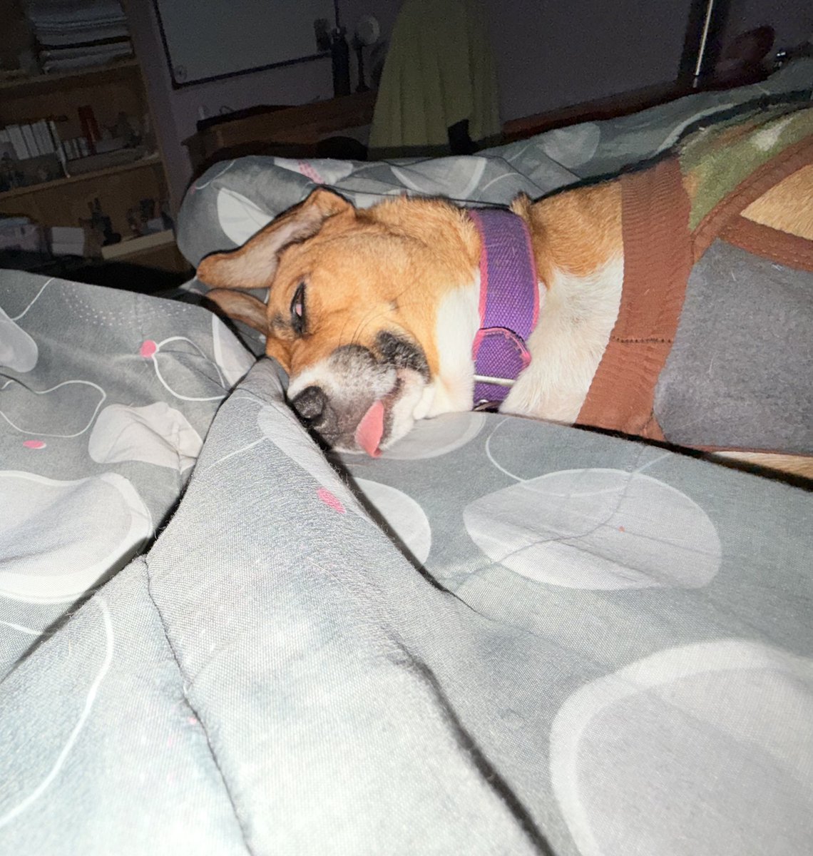 mily TURR4ZO 24.4 tweet media