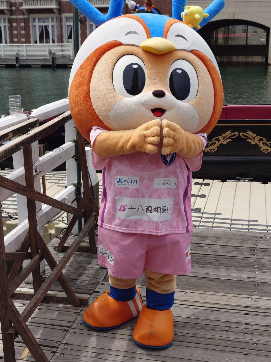 オレンジピーナッツ tweet media