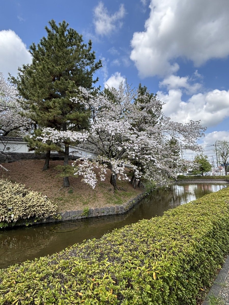 【公式】行田おもてなし観光局 tweet media