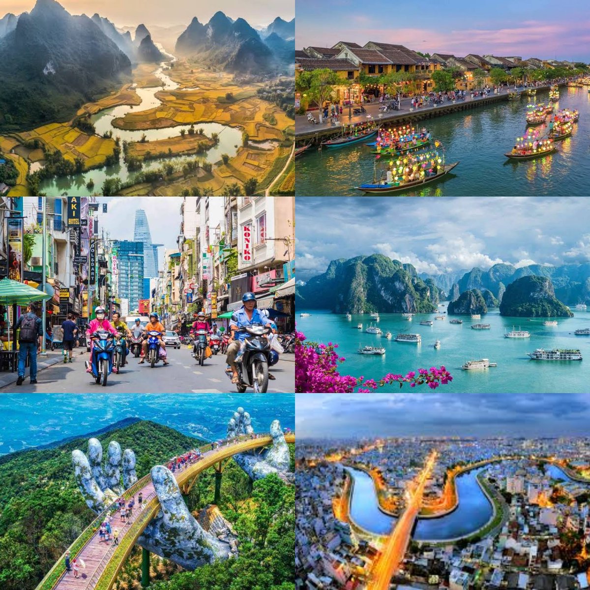 Go Phở Yourself tweet media